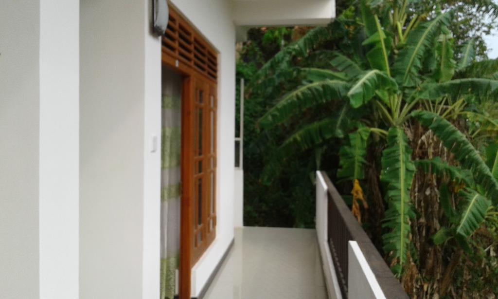 Green View Guest Mirissa Exteriér fotografie