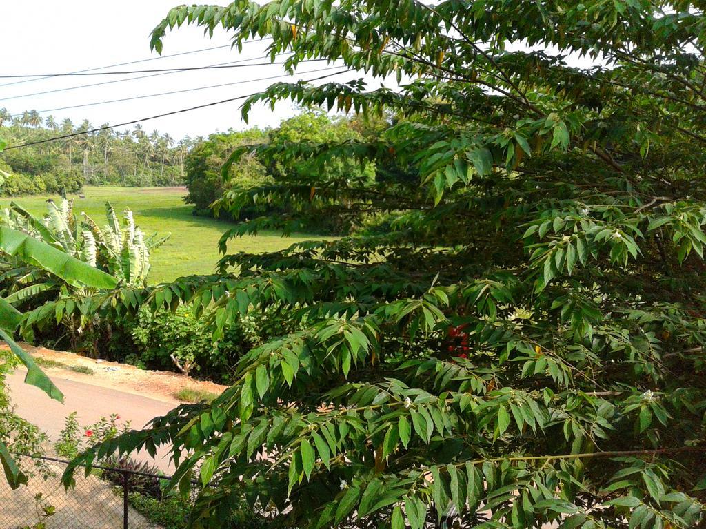 Green View Guest Mirissa Exteriér fotografie